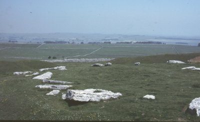 Arbor Low